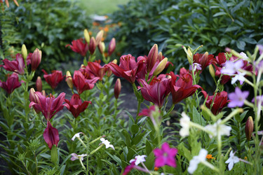 Similar image 22266224