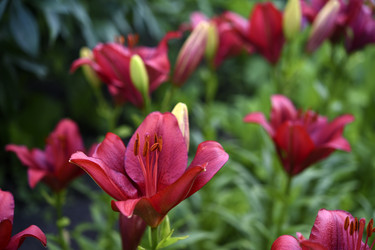 Similar image 22266225