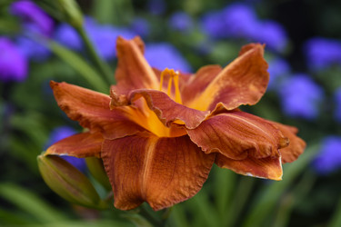 Similar image 22266226