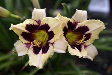 Similar image 22266228