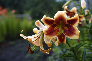 Similar image 22266229