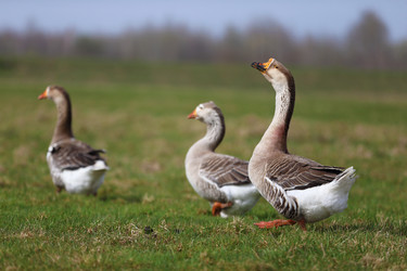 Similar image 22277095