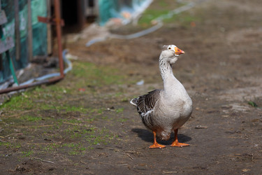 Similar image 22277539