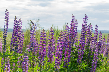 Similar image 22277542