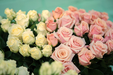 Similar image 22277550