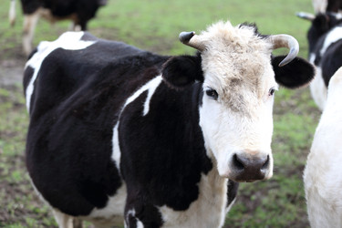 Similar image 22277551