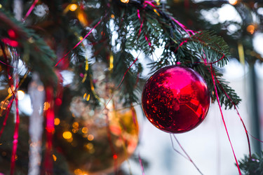 Similar image 22248965