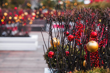 Similar image 22248968