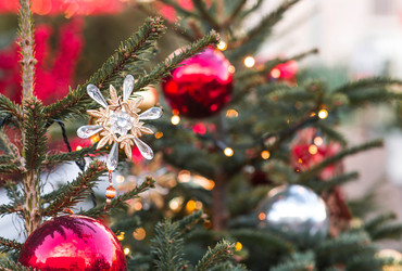 Similar image 22249350