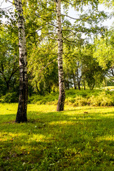 Similar image 22276140