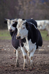 Similar image 22277568