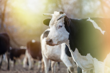 Similar image 22277569