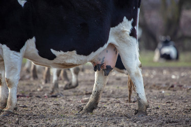 Similar image 22277570