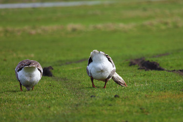 Similar image 22277577