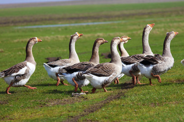 Similar image 22277578