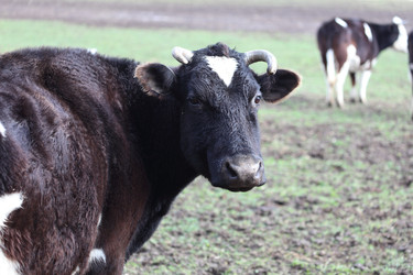 Similar image 22277585