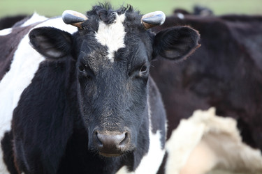 Similar image 22277588