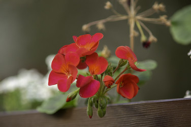 Similar image 22251428