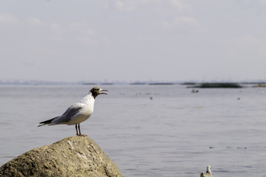 Similar image 22251429