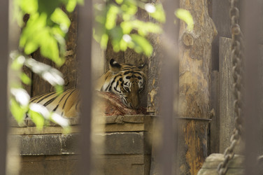 Similar image 22251430