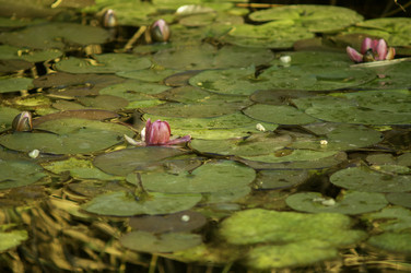 Similar image 22251431