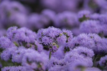 Similar image 22251432