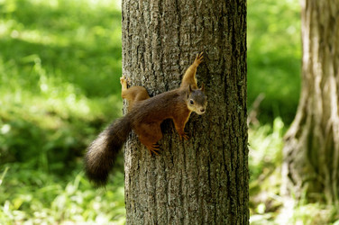 Similar image 22251433