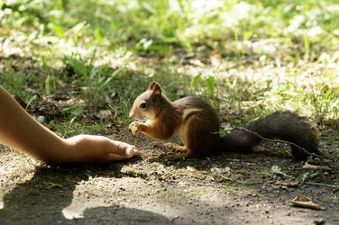 Similar image 22251434