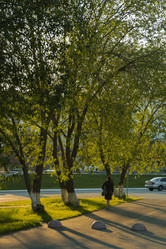 Similar image 22251437