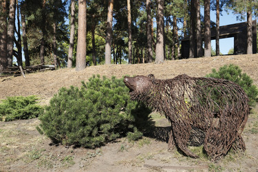 Similar image 22248687