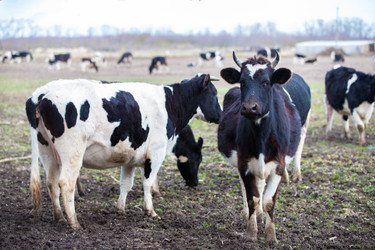 Similar image 22278063