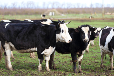 Similar image 22278073