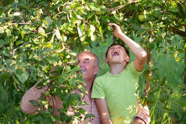 Similar image 22277102