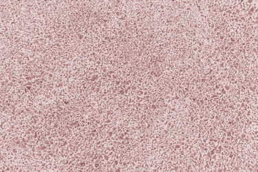 Similar image 22248986