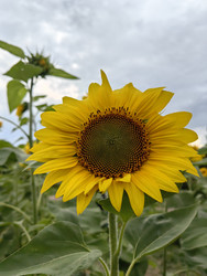 Similar image 22268346