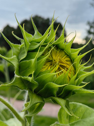 Similar image 22268347