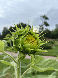 Similar image 22268349