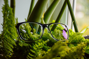 Similar image 22251853