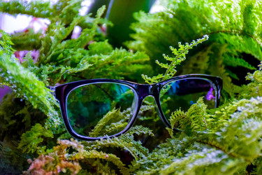 Similar image 22251854