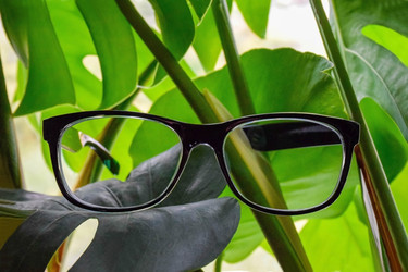 Similar image 22251859