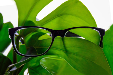 Similar image 22251861