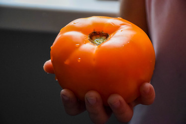 Similar image 22251873