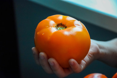 Similar image 22251874