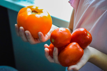 Similar image 22251875