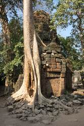 Similar image 22253596