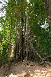 Similar image 22253609