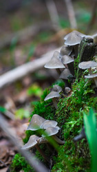 Similar image 22250791