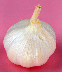 Similar image 22278076