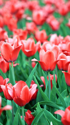 Similar image 22278078