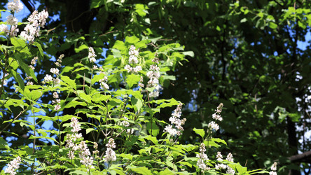 Similar image 22278084